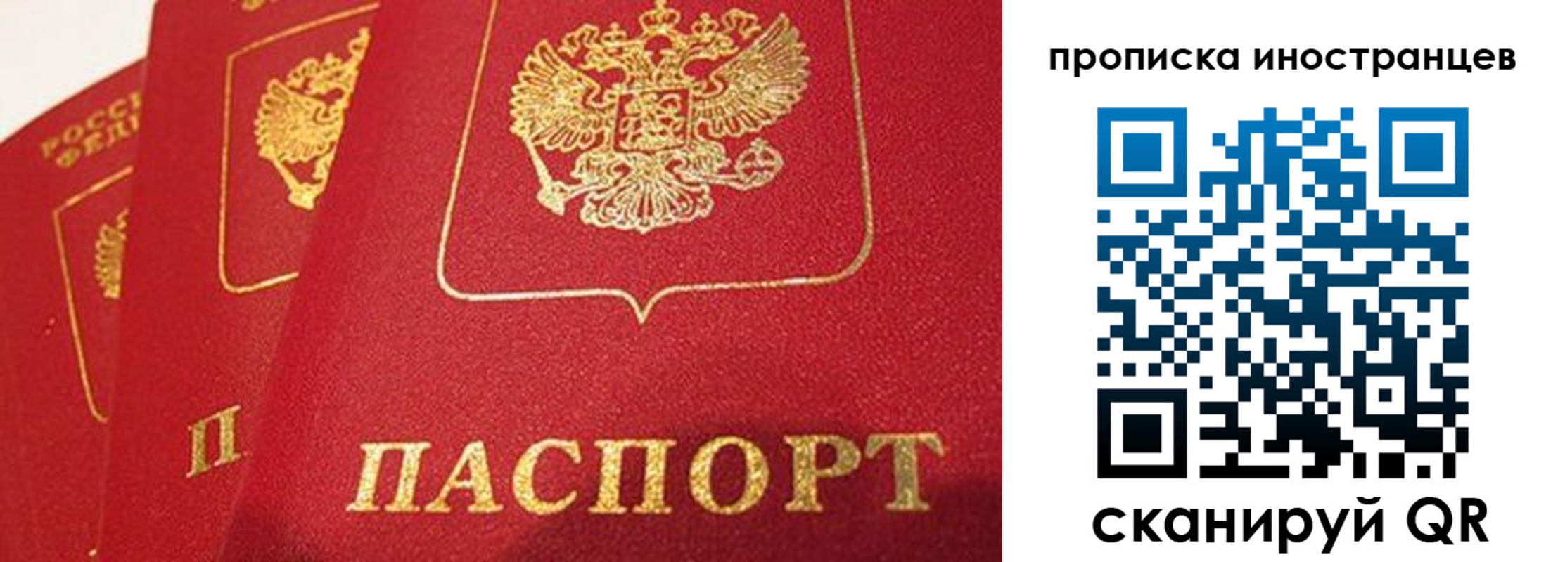 прописка поиск в Махачкале